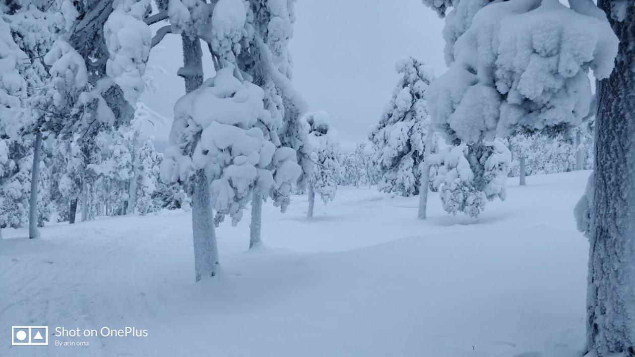 Apt 37 Rovaniemi Buitenkant foto